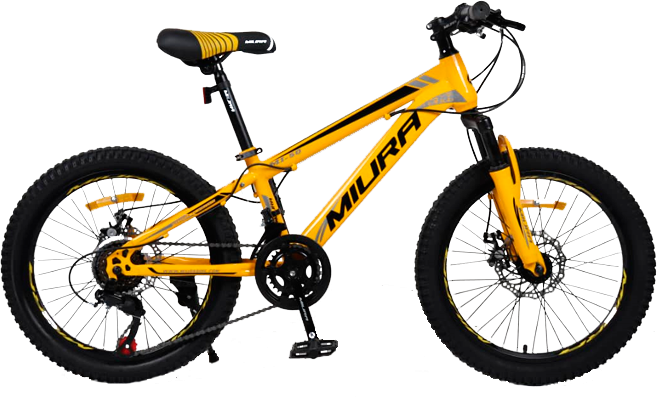 BICICLETA MONTAÑERA