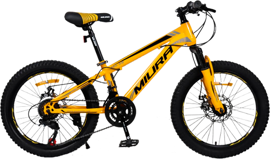 BICICLETA MONTAÑERA